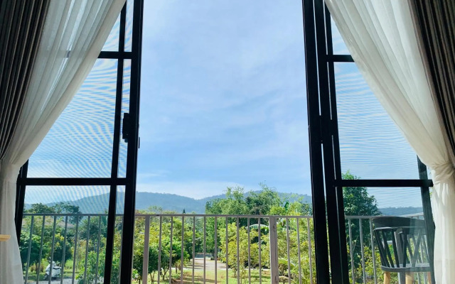 Napa