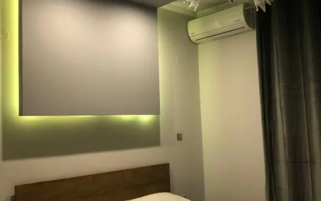 The only luxurious apartment in the center of town