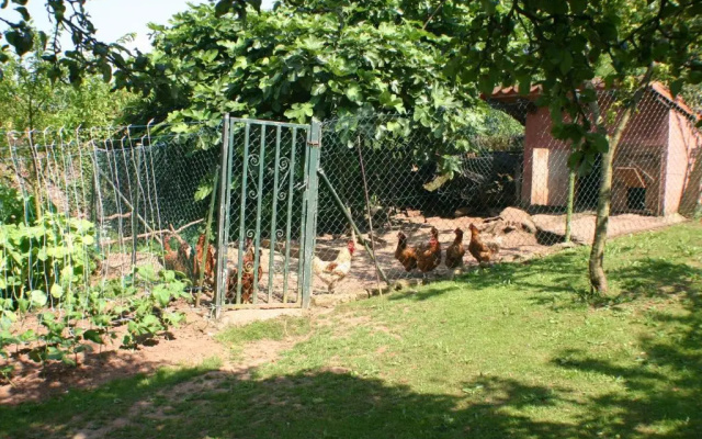 Fonte San Pedrín
