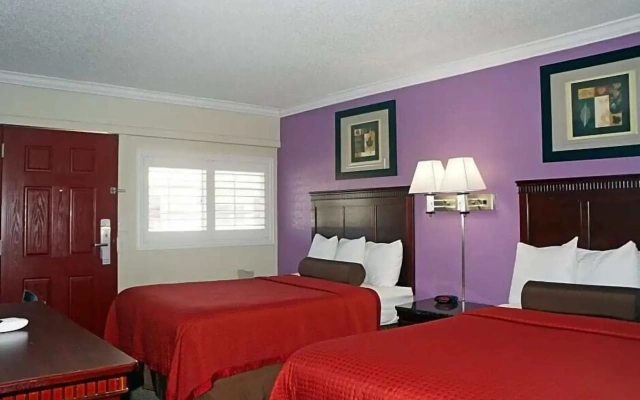 Dream Inn