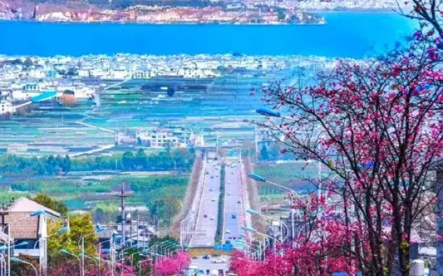 Yijia Renmei Homestay (Dali Old City Cang'er Avenue Branch)