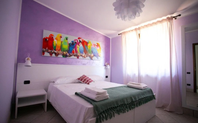 B&B Trepo