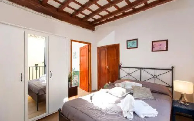 Boutique Domus Navona Librari