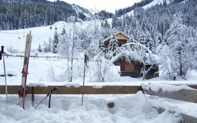 Appartement Châtel, 2 pièces, 4 personnes - FR-1-198-186
