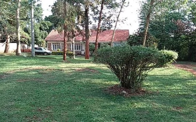 studio 62 guest house