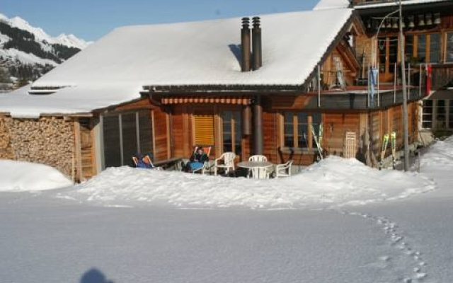 Bergdohle