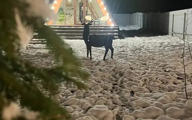 Частный дом На Природе