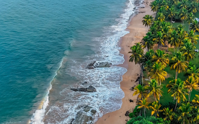 Курортный Отель Sheraton Kosgoda Turtle Beach