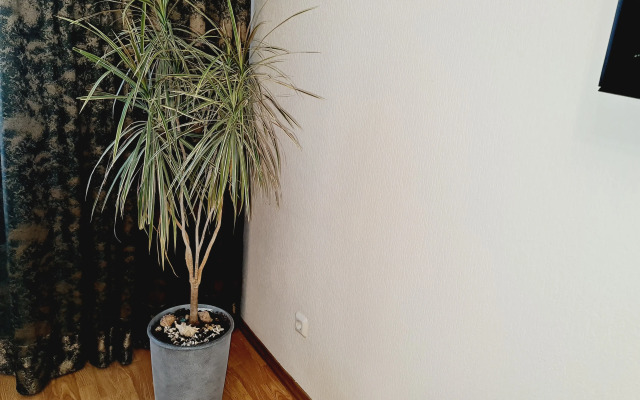 Dvukhkomnatnye na Kuzbasskoy Divizii 24 Apartments
