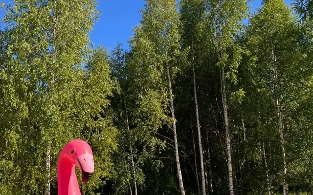 Частный дом Афрейм с Баней и Бассейном у Пруда