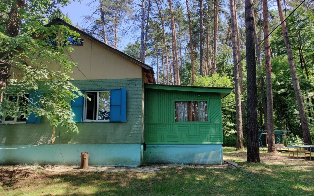 База отдыха энергетик фото