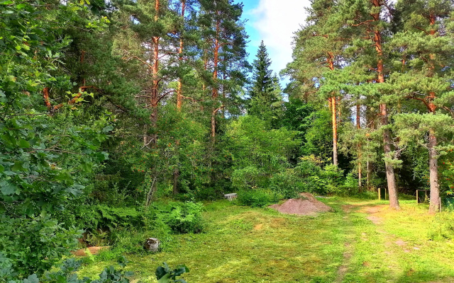 Гостевой дом у леса