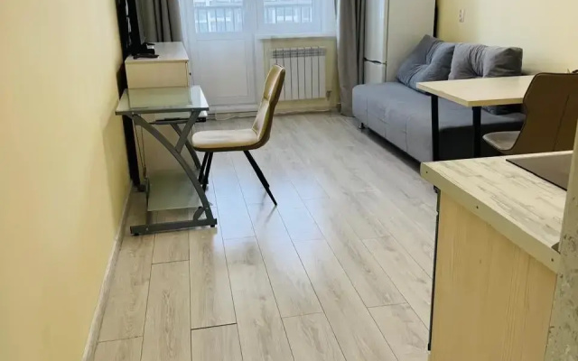 Квартира уютная с видом на Ангару