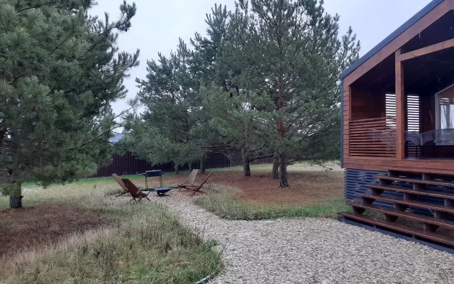 Частный дом в соснах в КП Академ парк