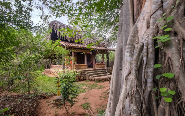 Banyan Camp