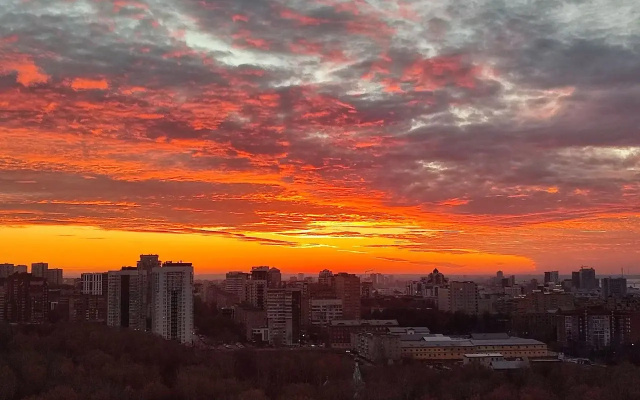 Квартира на бульваре