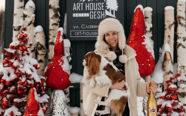 Гостевой дом Art House Gesh