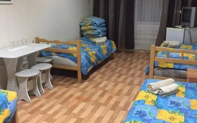 Отель Ариэль-Д