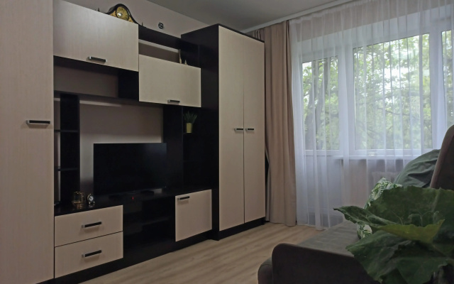 Квартира в Центре у Реки Псковы