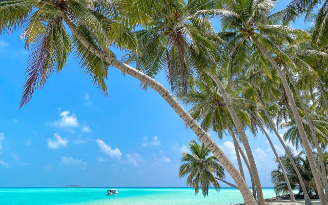 Вилла Captal Island