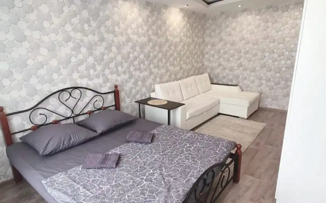 Квартира на Бегичева 2