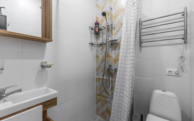 Апартаменты Стильные Loft Flats&Rooms Vnukovo