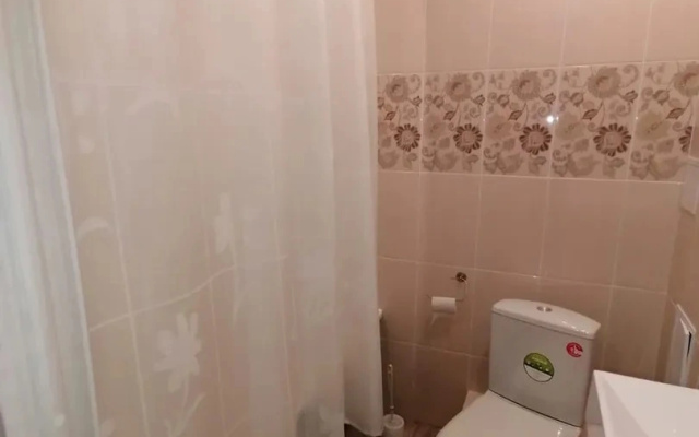 Апартаменты Comfortable Studio Vladimir