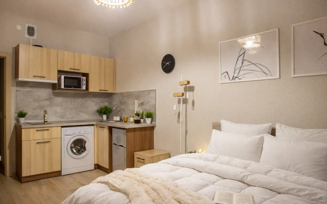 Апартаменты Студия Natalie Apartments Пулковское шоссе 14 Е (17)