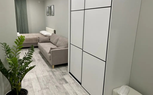 Апартаменты на Смолина, 61 (Green-room)