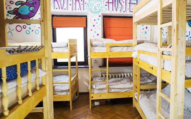 Kotiki Hostel детские мероприятия