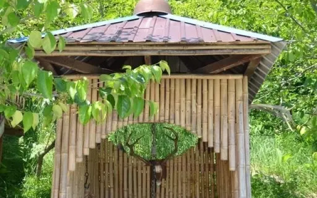 Меблированные комнаты Луиза