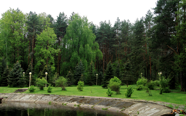 Отель "Дом лесника"