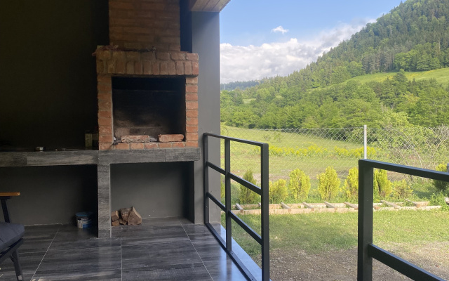 Апартаменты MTA-house borjomi