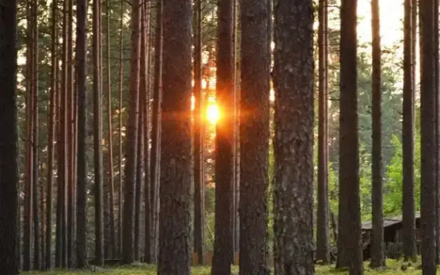 Квартира Вариант