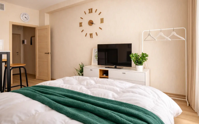 Апартаменты Студия Natalie Apartments Пулковское шоссе 14 Е (18)