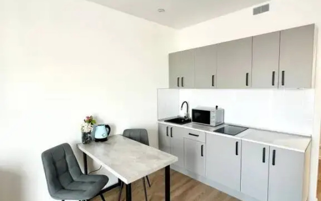 Апартаменты Art Life Apartment Novohohlovskaya 1