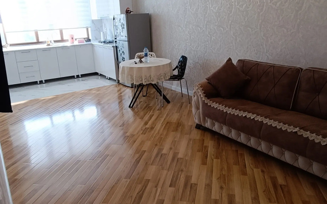 Апартаменты Baku Luxury