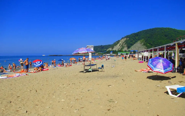 Отель Фламинго