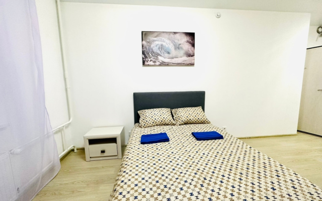 Апартаменты 9 Pant Family House в Остафьево