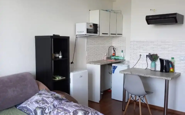 Квартира Рента 65 на Ленина 563к4