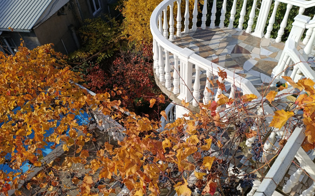 Гостевой Дом Eco-friendly Why Me Tbilisi