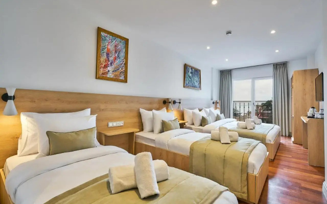 Отель Joyway Hotels Istanbul Sultanahmet