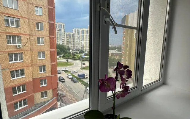 Апартаменты с балконом на Васильевской