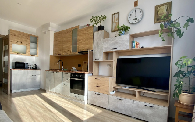 Квартира InRoomSPb на Евгения Шварца 11
