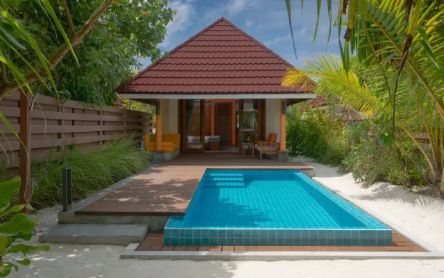 Курортный отель Dhigufaru Island