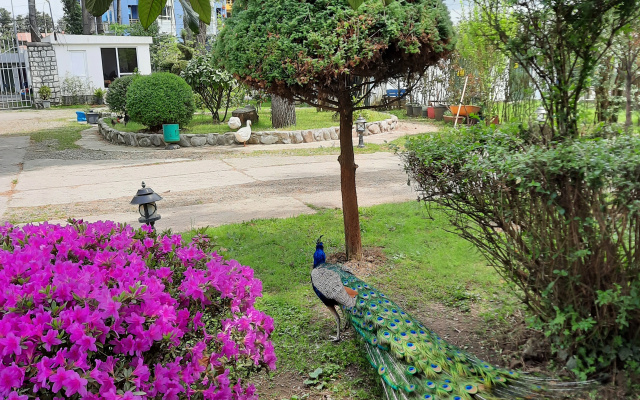 Kolhida Hotel · Ureki — photo 18