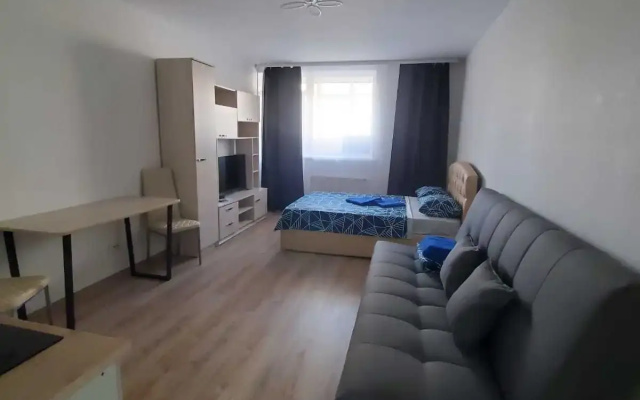 Апартаменты у Аэропорта Dream House