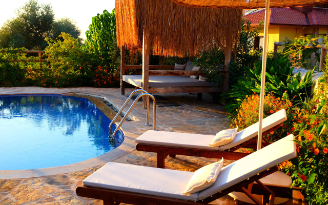 Отель Mandarin & Mango Boutique Hotel