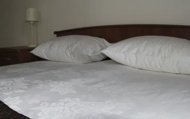 Guest House 'Flagman'