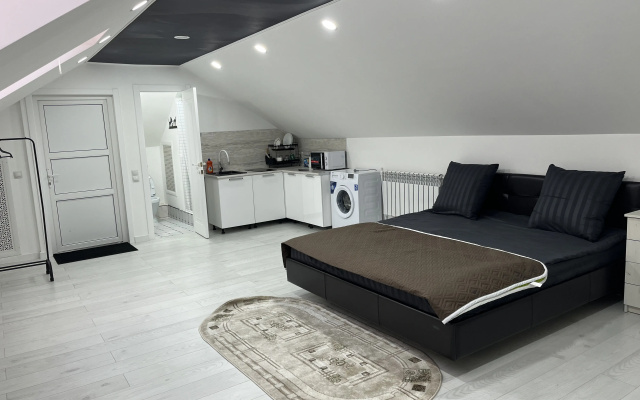 Апартаменты Ayshe Prestij Mansard